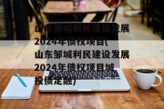 山东邹城利民建设发展2024年债权项目(山东邹城利民建设发展2024年债权项目城投债定融)