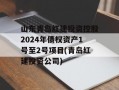 山东青岛红建投资控股2024年债权资产1号至2号项目(青岛红建投资公司)