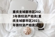 重庆主城都市区2023年债权资产拍卖(重庆主城都市区2023年债权资产拍卖公告)