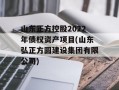 山东正方控股2022年债权资产项目(山东弘正方圆建设集团有限公司)