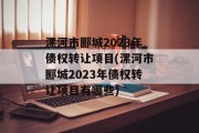 漯河市郾城2023年债权转让项目(漯河市郾城2023年债权转让项目有哪些)