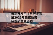 山东寿光市昇景海洋发展2023年债权融资计划的简单介绍