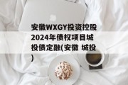 安徽WXGY投资控股2024年债权项目城投债定融(安徽 城投)
