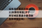 山东济宁惠欣兴农2022年债权项目(济宁市任城区惠鑫小额贷款有限责任公司)