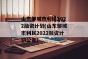 山东邹城市利民2022融资计划(山东邹城市利民2022融资计划公告)