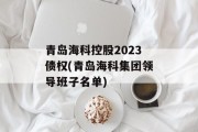 青岛海科控股2023债权(青岛海科集团领导班子名单)