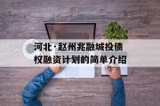 河北·赵州兆融城投债权融资计划的简单介绍