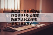 山东济宁鱼台鑫达经开政信债权1号(山东省政府下达2023年省重大项目名单)