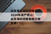 山东青岛海科控股债权2024年资产转让(山东海科控股有限公司股票)