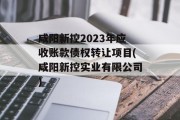 咸阳新控2023年应收账款债权转让项目(咸阳新控实业有限公司)