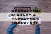 滨州市惠滨实业发展2023年债权资产(滨州市惠滨实业发展2023年债权资产减值)