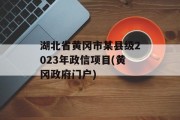 湖北省黄冈市某县级2023年政信项目(黄冈政府门户)