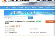 2022潍坊高新城投债权(潍坊城投融资)