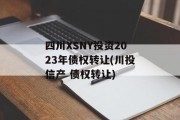 四川XSNY投资2023年债权转让(川投信产 债权转让)