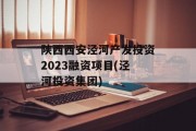 陕西西安泾河产发投资2023融资项目(泾河投资集团)