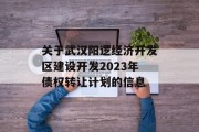 关于武汉阳逻经济开发区建设开发2023年债权转让计划的信息