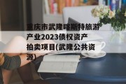 重庆市武隆喀斯特旅游产业2023债权资产拍卖项目(武隆公共资源)