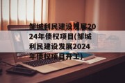 邹城利民建设发展2024年债权项目(邹城利民建设发展2024年债权项目开工)