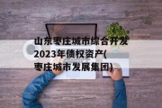 山东枣庄城市综合开发2023年债权资产(枣庄城市发展集团)