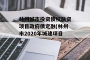 林州城市投资债权融资项目政府债定融(林州市2020年城建项目)
