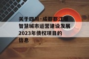 关于四川·成都都江堰智慧城市运营建设发展2023年债权项目的信息