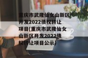 重庆市武隆仙女山新区开发2022债权转让项目(重庆市武隆仙女山新区开发2022债权转让项目公示)