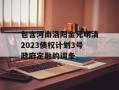 包含河南洛阳金元明清2023债权计划3号政府定融的词条