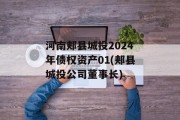 河南郏县城投2024年债权资产01(郏县城投公司董事长)