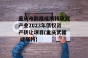 重庆市武隆喀斯特旅游产业2023年债权资产转让项目(重庆武隆 喀斯特)