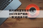 四川绵阳富乐投资特定2023年资产拍卖[一期]的简单介绍