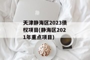 天津静海区2023债权项目(静海区2021年重点项目)