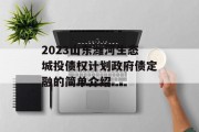2023山东潍河生态城投债权计划政府债定融的简单介绍