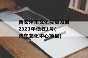 西安沣东文化投资发展2023年债权1号(沣东文化中心项目)