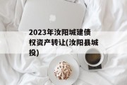 2023年汝阳城建债权资产转让(汝阳县城投)