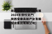 陕西安康高新产业发展2024年债权资产(陕西安康高新产业发展投资集团有限公司)