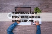 天津辰融2023年债权资产项目(辰融达国际贸易有限公司)