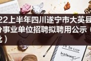 关于红码9号-遂宁广利工业发展2022债权（3）的信息