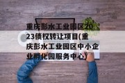 重庆彭水工业园区2023债权转让项目(重庆彭水工业园区中小企业孵化园服务中心)