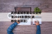 武陟县城市建设投资开发2024年债权(武陟投资项目)