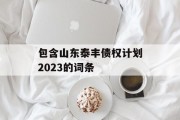 包含山东泰丰债权计划2023的词条