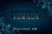 山东正方控股2022债权资产的简单介绍