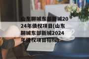 山东聊城东部新城2024年债权项目(山东聊城东部新城2024年债权项目招标)