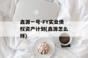 鑫源一号-FY实业债权资产计划(鑫源怎么样)