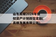 山东高顺2024年债权资产计划政信定融(高顺发展有限公司)