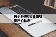 关于JNGC实业债权资产的信息