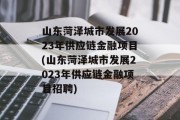 山东菏泽城市发展2023年供应链金融项目(山东菏泽城市发展2023年供应链金融项目招聘)