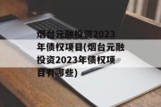 烟台元融投资2023年债权项目(烟台元融投资2023年债权项目有哪些)