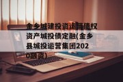 金乡城建投资运营债权资产城投债定融(金乡县城投运营集团2020融资)