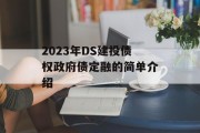 2023年DS建投债权政府债定融的简单介绍