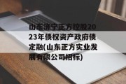 山东济宁正方控股2023年债权资产政府债定融(山东正方实业发展有限公司招标)